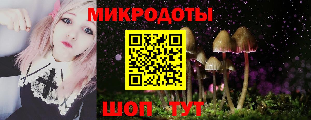 Псилоцибиновые грибы мицелий  Вход с VPN  Кизляр 