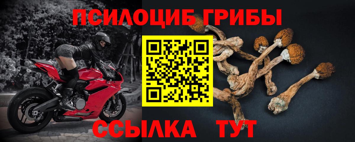 Кизляр  APVP СОЛЬ кристаллы  LSD-25  Мефедрон кристаллы  Каннабис  КЕТАМИН  Вход с VPN  КОКАИН  Гашиш 