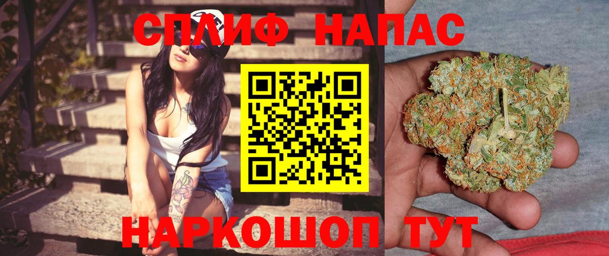 Марихуана гибрид Кизляр